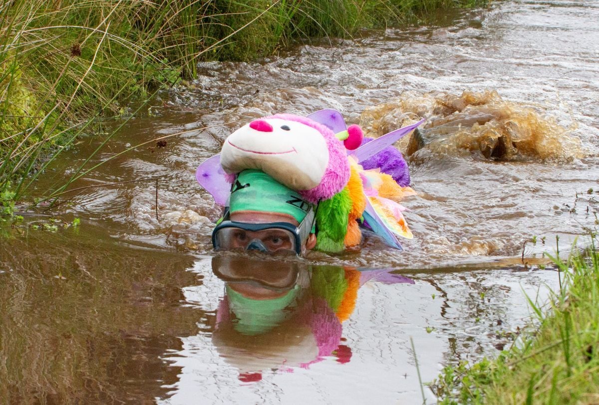 bog snorkelling